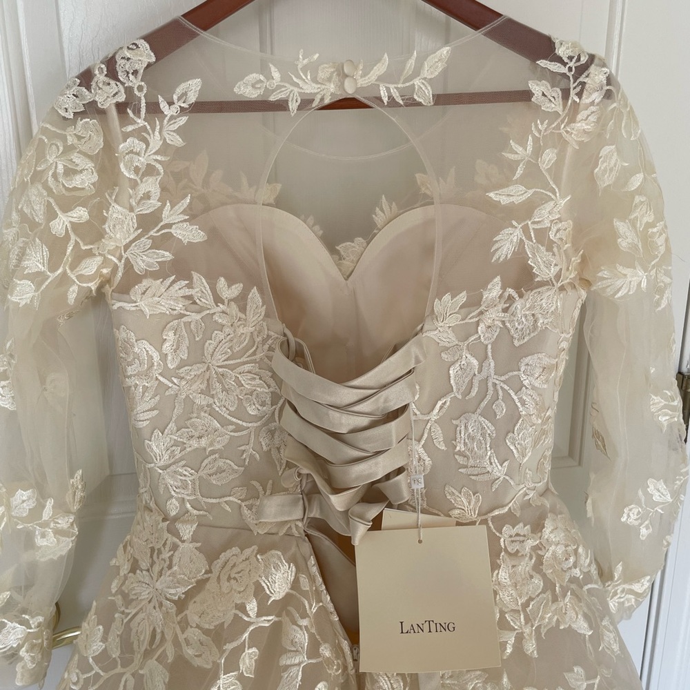 Gorgeous champagne lace wedding gown - Picture 8 of 12